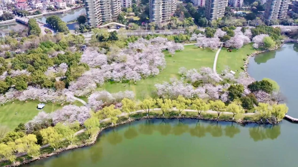 紹興柯橋：春日瓜渚湖 步步皆風(fēng)景