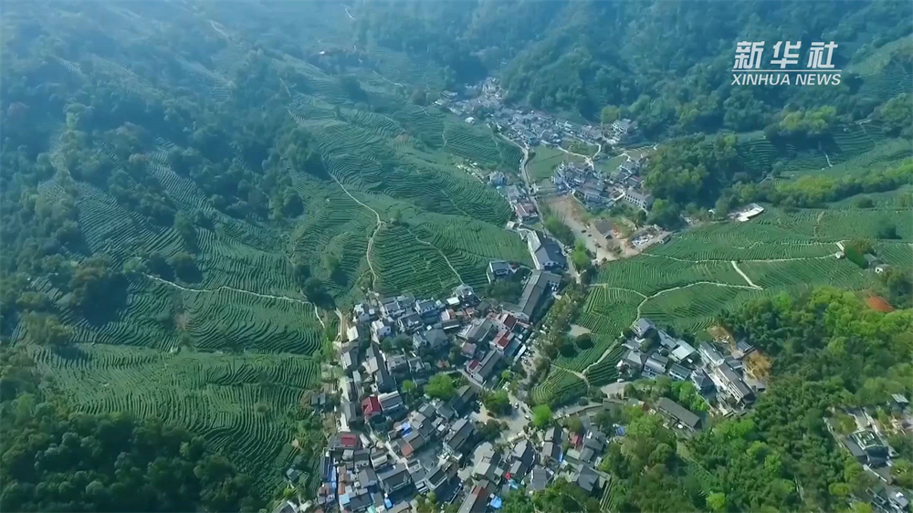 春風徐來，經(jīng)濟回暖